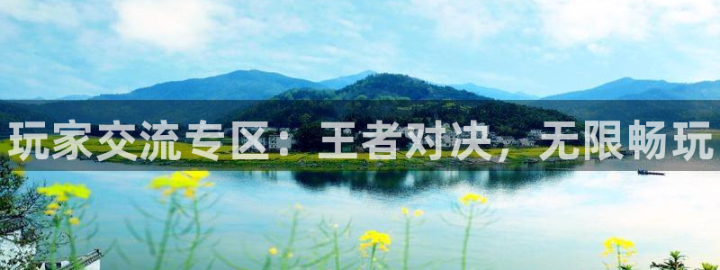 手机版鼎点娱乐客户端下载：玩家交流专区：王者对决，无限畅玩