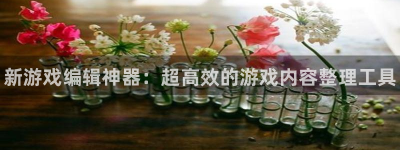 鼎点娱乐平台注册开户：新游戏编辑神器：超高效的游戏内容整理工