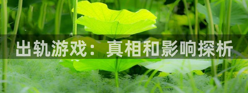鼎点娱乐平台登录入口：出轨游戏：真相和影响探析