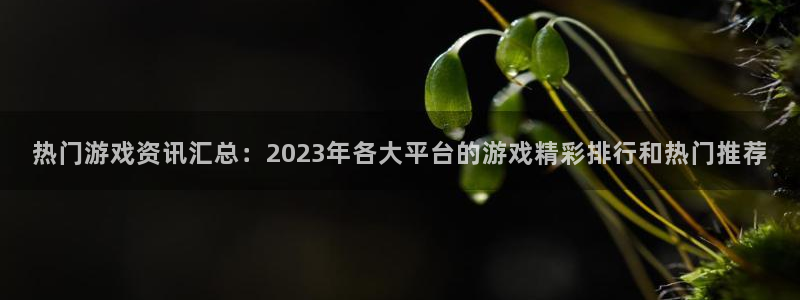 鼎点娱乐4招商