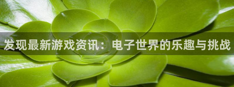 鼎点娱乐在线登录：发现最新游戏资讯：电子世界的乐趣与挑战