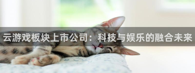 鼎点娱乐平台官方网站：云游戏板块上市公司：科技与娱乐的融合未