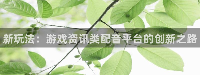 鼎点娱乐怎么注册：新玩法：游戏资讯类配音平台的创新之路