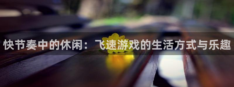 鼎点娱乐平台登录线路：快节奏中的休闲：飞速游戏的生活方式与乐